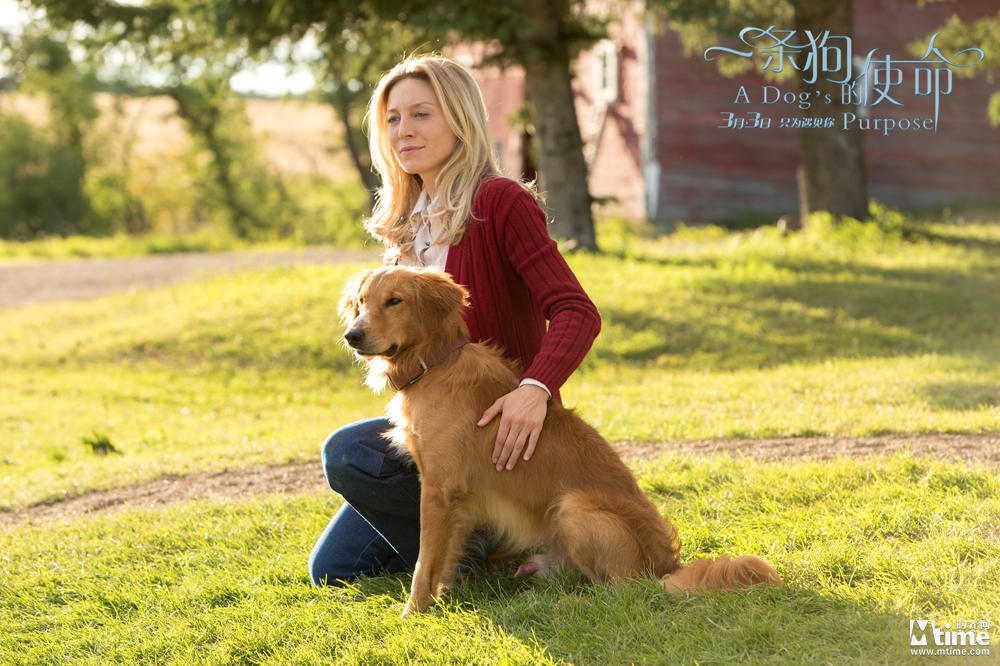 小家的心事 国家的大事-xiongmao体育(图2) xiongmao体育