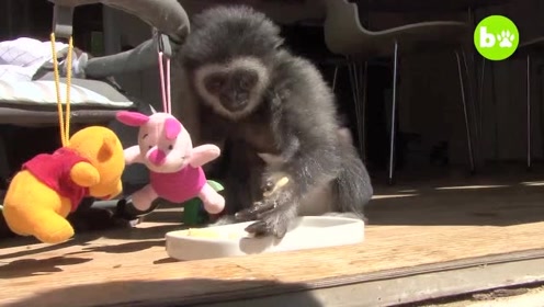 北京再报告6例境外输入确诊病例 西班牙4例、英国2例“panda sports”(图3) xiongmao体育