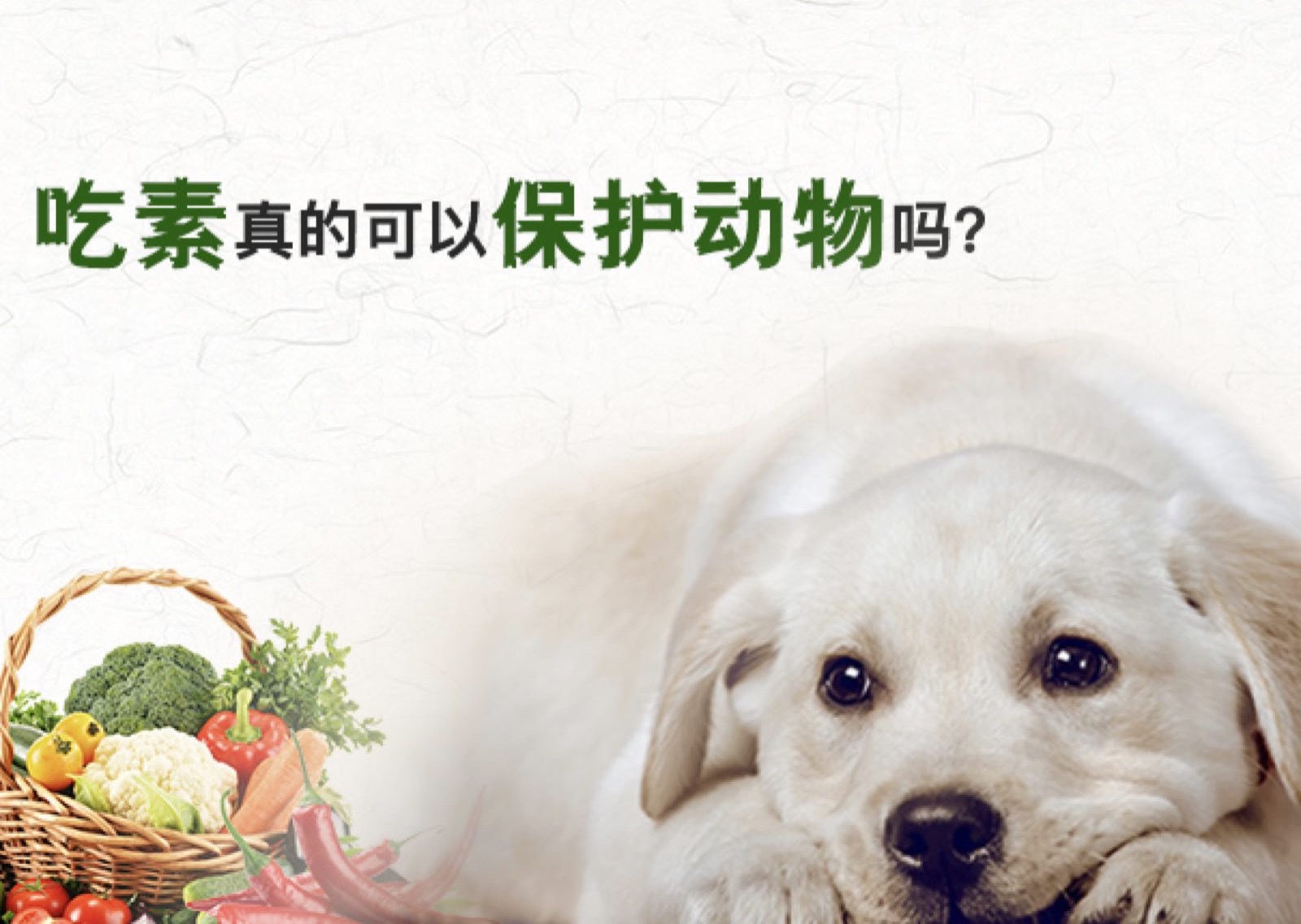 熊猫体育|司马通为什么会被立为太子?他有多聪明(图2) panda sports