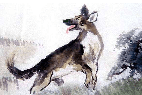 熊猫体育|
明年运势大揭秘 四生肖霉运烟消云散 幸运围绕在身边！(图3)