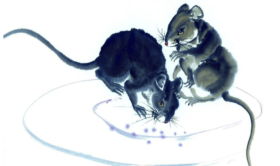 熊猫体育|
明年运势大揭秘 四生肖霉运烟消云散 幸运围绕在身边！(图6)