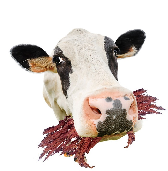 ‘xiongmao体育’青春闪亮最前线 走近ICU病房里的“90后”医护人员(图4) xiongmao体育