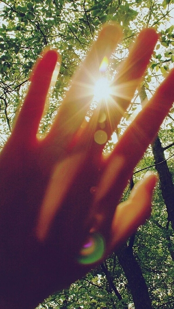 古代皇帝如何“搞基”?-熊猫体育(图4) panda sports