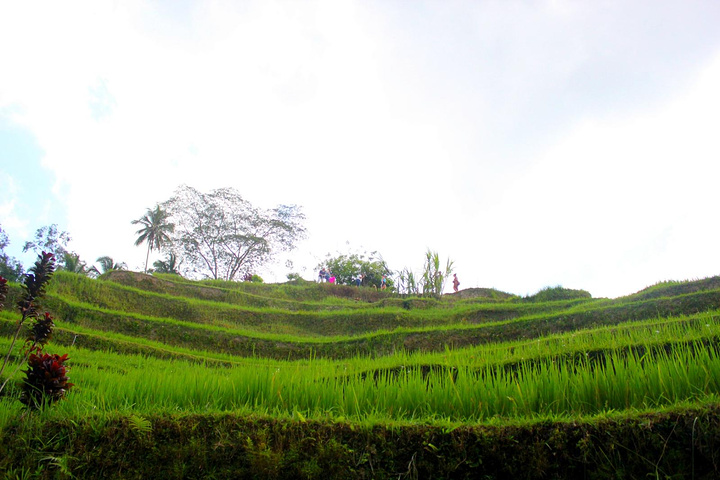 panda sports_坚持全面依法治国(图2) panda sports