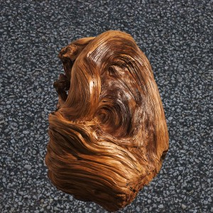 【xiongmao体育】针对上海自贸区两类人才需求分析(图3) 熊猫体育