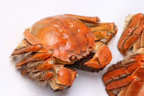 销售易Engage 2020大会:焕然易新,界说新一代CRM|xiongmao体育(图3) 熊猫体育