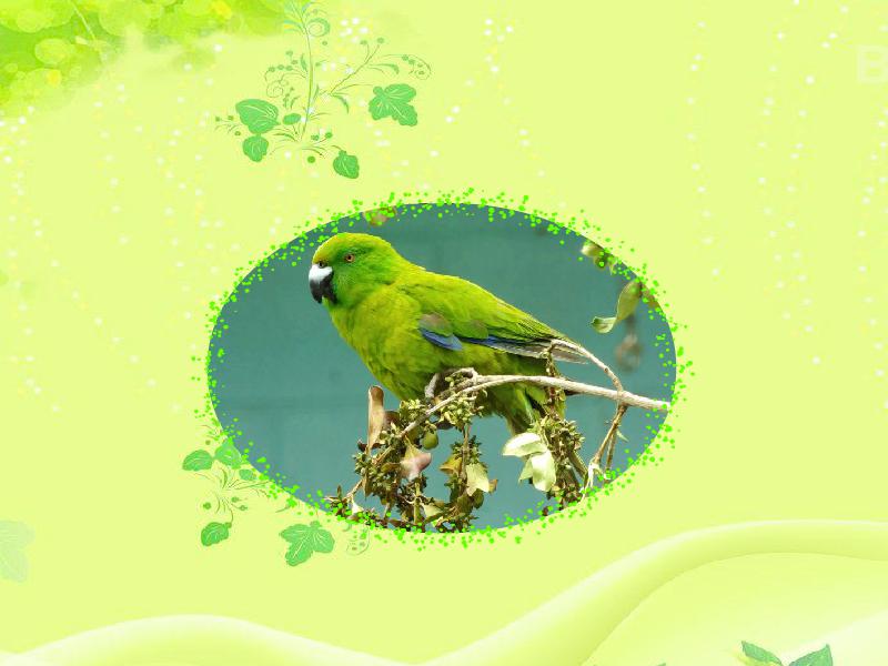 ‘panda sports’
系统重要性银行评估措施落地!30家银行纳入参评规模(图1) xiongmao体育