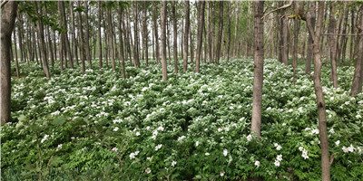 水浒传中的富豪:只要有人管他们要钱,他们从不吝啬【panda sports】(图3) 熊猫体育