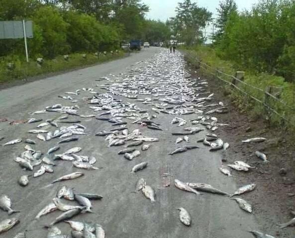 水浒传中的富豪:只要有人管他们要钱,他们从不吝啬【panda sports】(图2) 熊猫体育