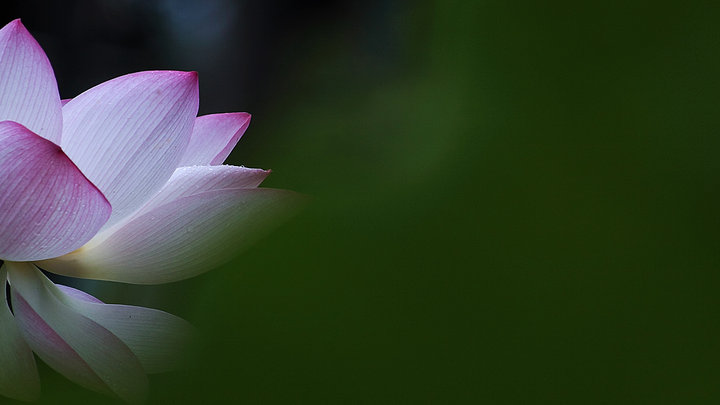 panda sports:
用心服务 缔造价值(图6) 熊猫体育