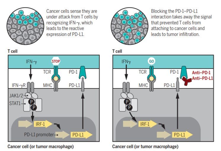 《COD14》真人宣传片 重新集结不忘兄弟情:熊猫体育(图4) xiongmao体育