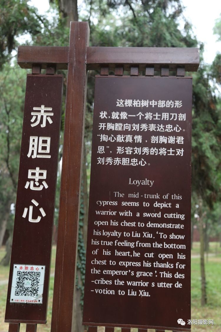 【panda sports】徐海东酒后乱打人深夜赔情改毛病(图2) 熊猫体育