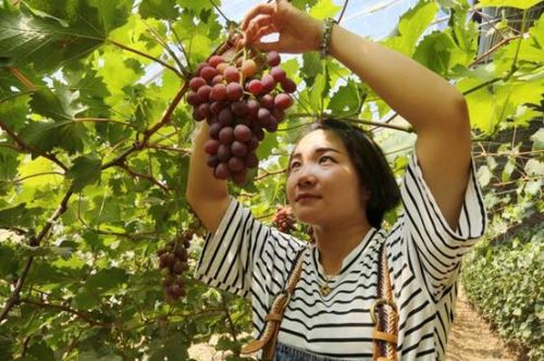 威海市区有啥玩的地方,威海有什么地方玩?-熊猫体育(图2) 熊猫体育