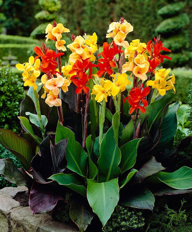 威海市区有啥玩的地方,威海有什么地方玩?-熊猫体育(图1) xiongmao体育