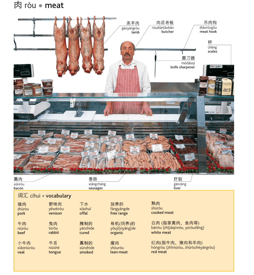 熊猫体育_*
险些所有食材的英文翻译 建议收藏！（配音标）(图1)