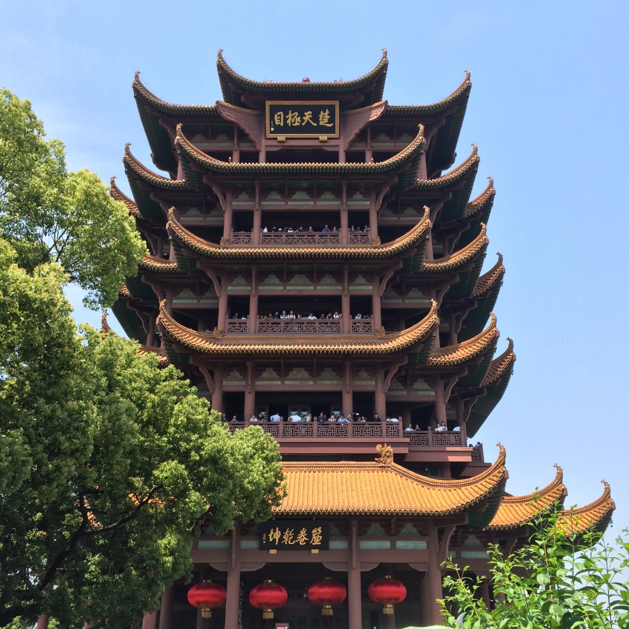 xiongmao体育